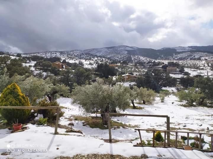 Casa La Colina Mandarina II Casa De Madera Villa Tahal Dış mekan fotoğraf