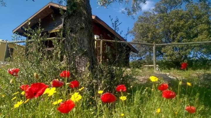 Casa La Colina Mandarina II Casa De Madera Villa Tahal Dış mekan fotoğraf