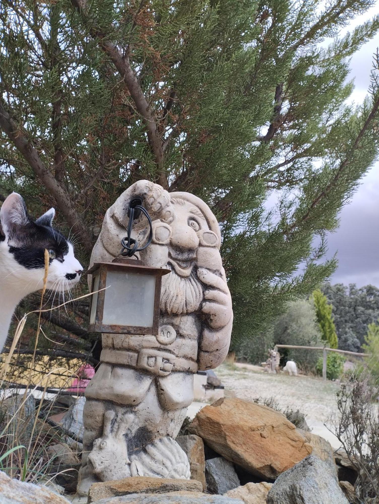Casa La Colina Mandarina II Casa De Madera Villa Tahal Dış mekan fotoğraf